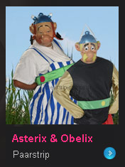 Asterix Obelix Show